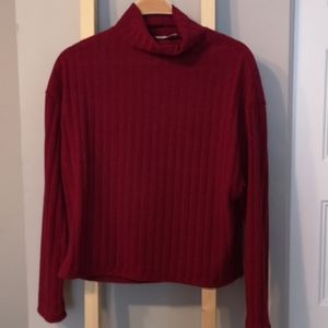 Cropped red turtle neck